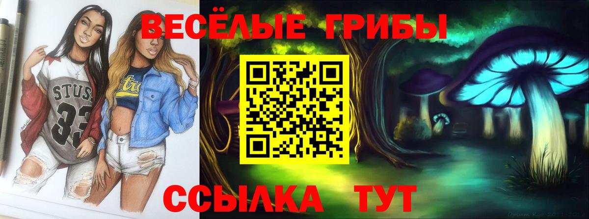 Псилоцибиновые грибы мицелий Темрюк