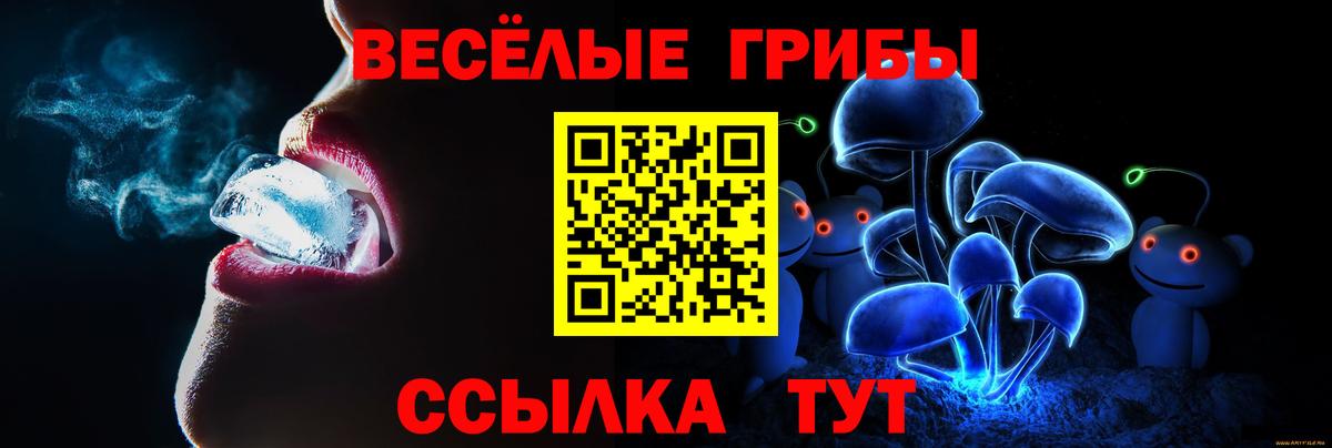 Темрюк  Галлюциногенные грибы GOLDEN TEACHER  Вход с VPN 